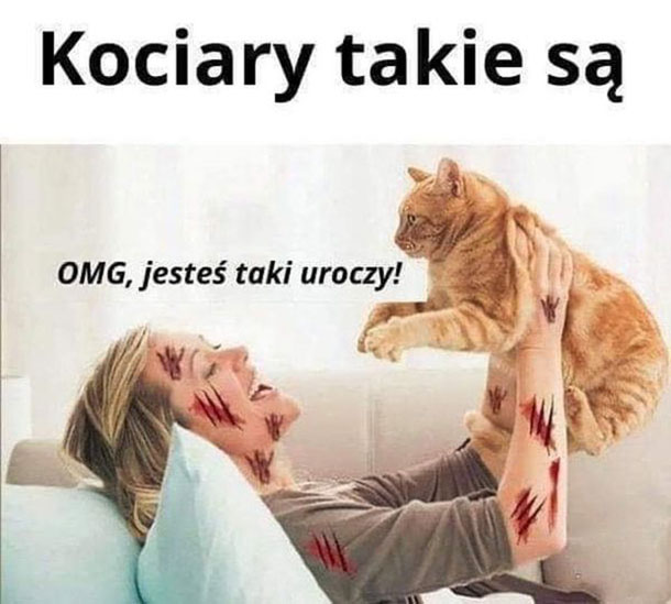 Kociary 