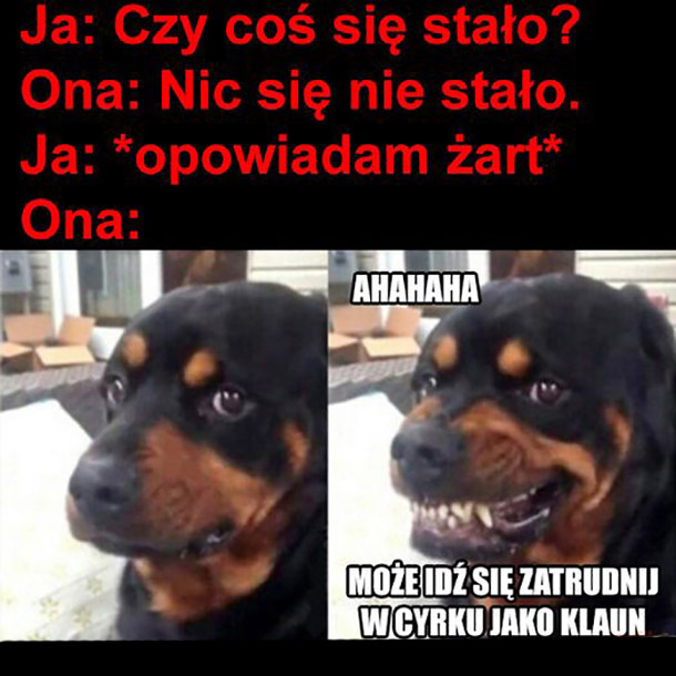 Nie śmieszne 