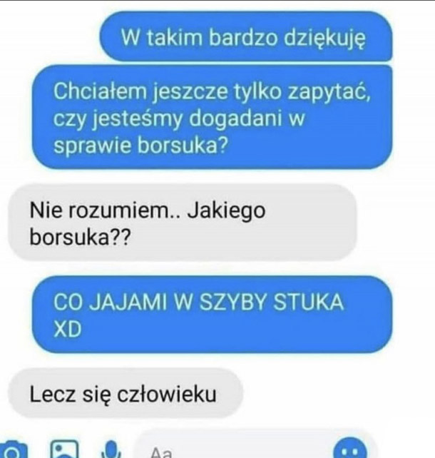 Co z borsukiem? 