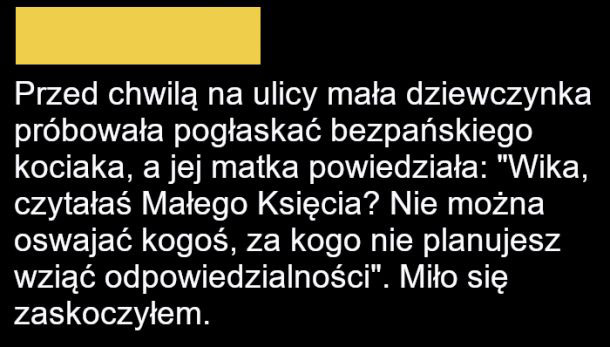 Miłe zaskoczenie 