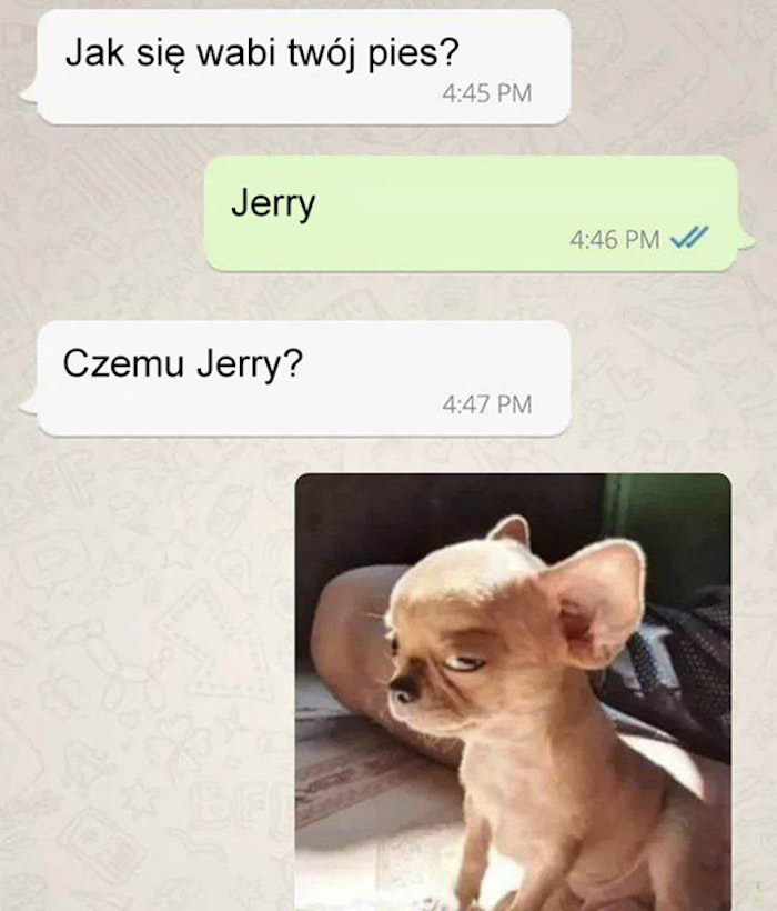 Mój pies to Jerry