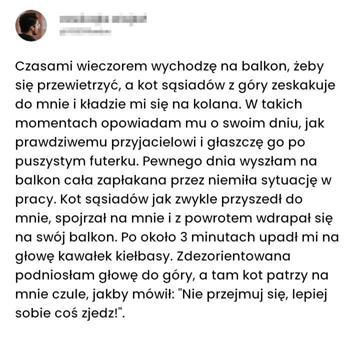 Kot sąsiadów jest moim przyjacielem