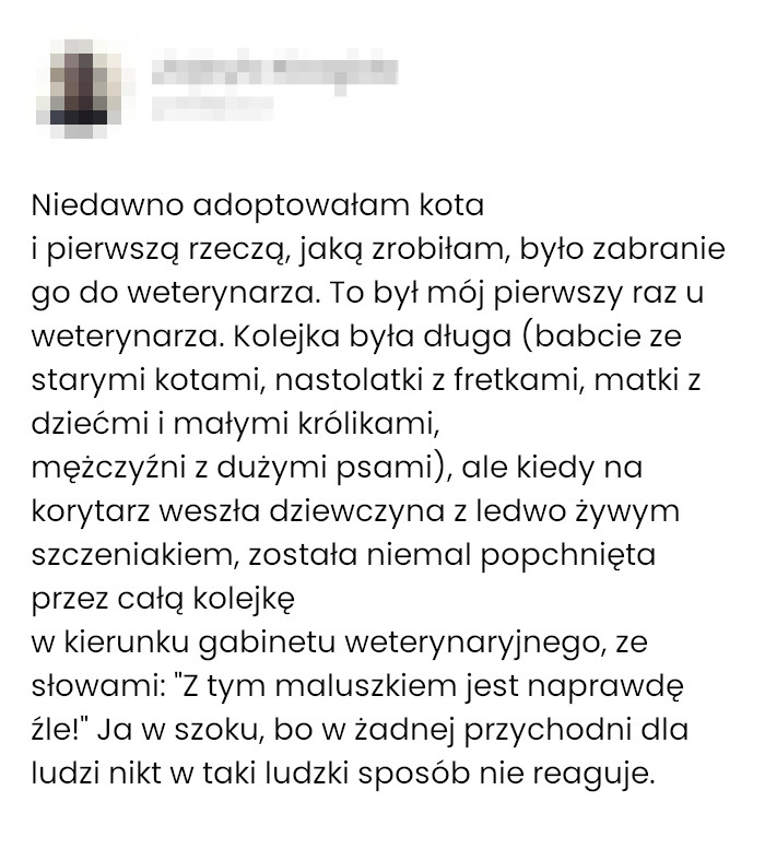 Pierwsza wizyta u weterynarza po adopcji