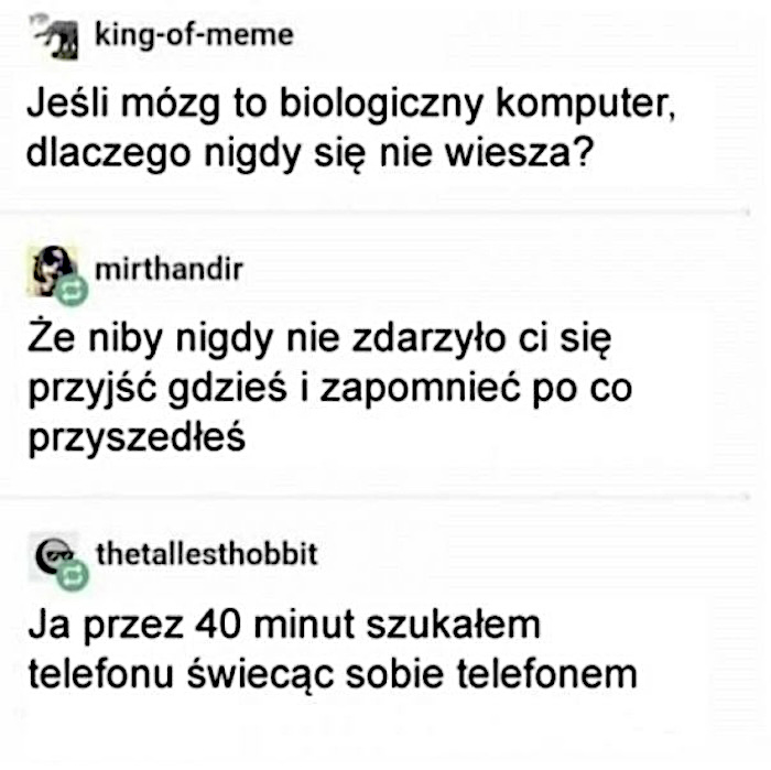 Rozkminka na temat ludzkiego mózgu