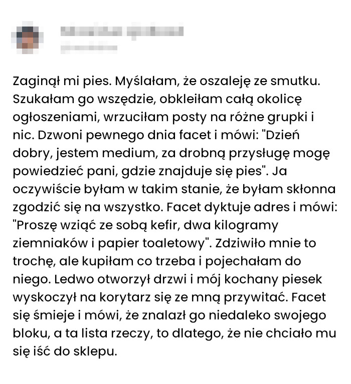 Jak Kefir i Ziemniaki pomogły mi odnaleźć psa