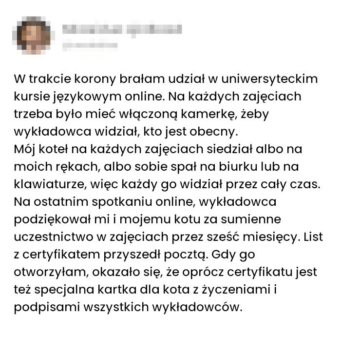 Kot studentem kursu językowego