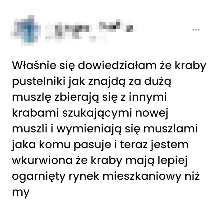 Lekcja o nieruchomościach od skorupiaków