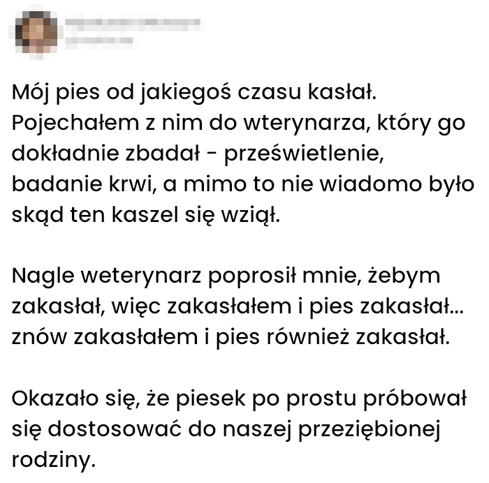 Jak pies nauczył się kaszleć