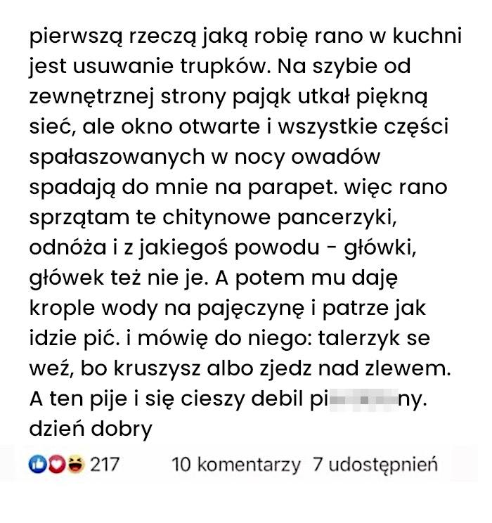 Poranna rutyna z pająkiem czyli śniadanie na parapecie