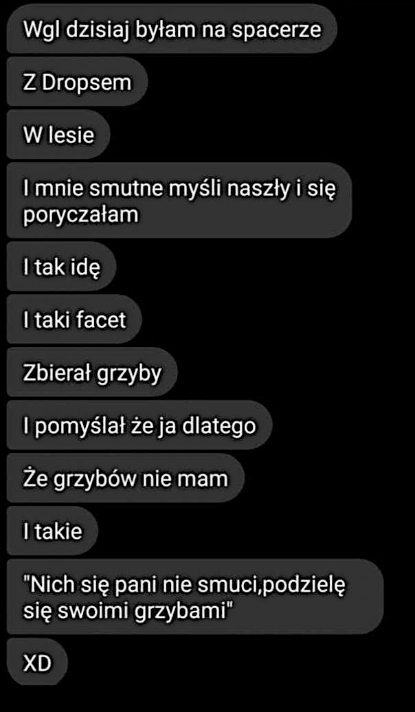 Dziwna akcja w lesie z grzybami w tle