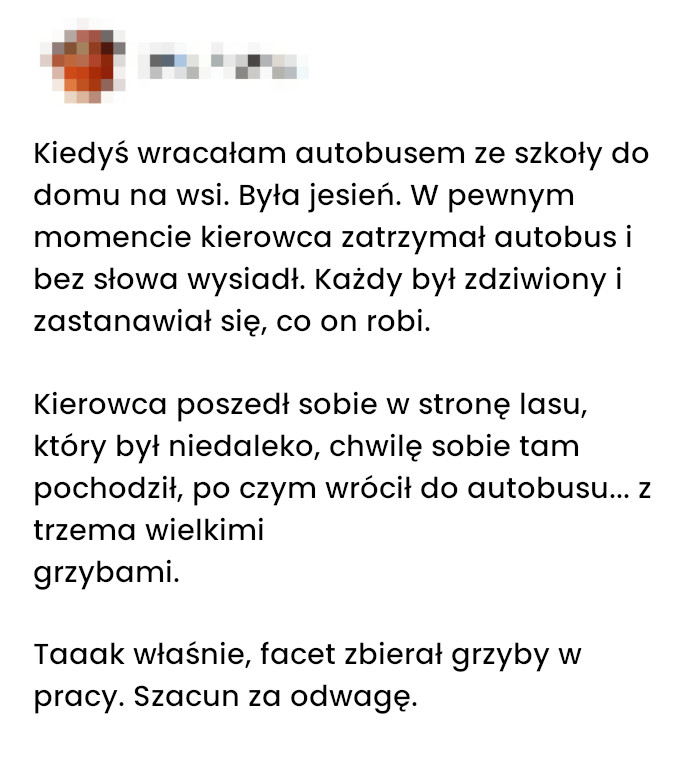 Tajemniczy postój w drodze przez las