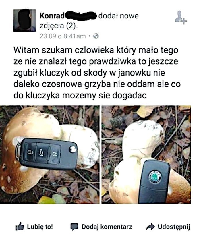 Poszukiwany grzybiarz pechowiec