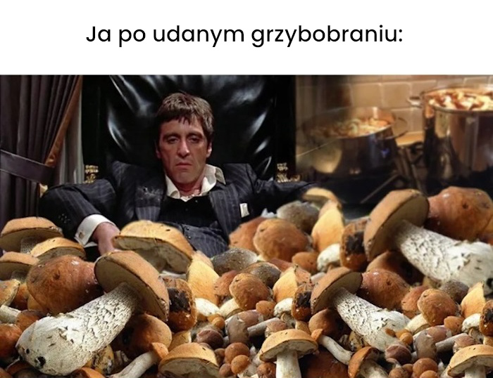 To uczucie po udanym grzybobraniu