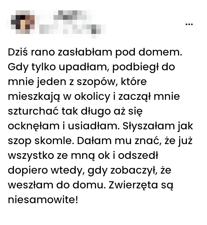 Poranne spotkanie z opiekunem w futrze