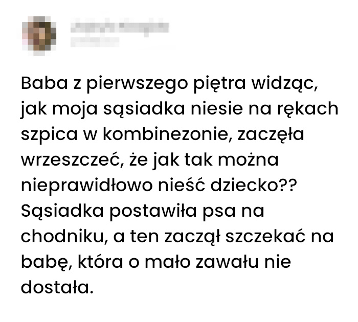 Kiedy szpic staje się dzieckiem