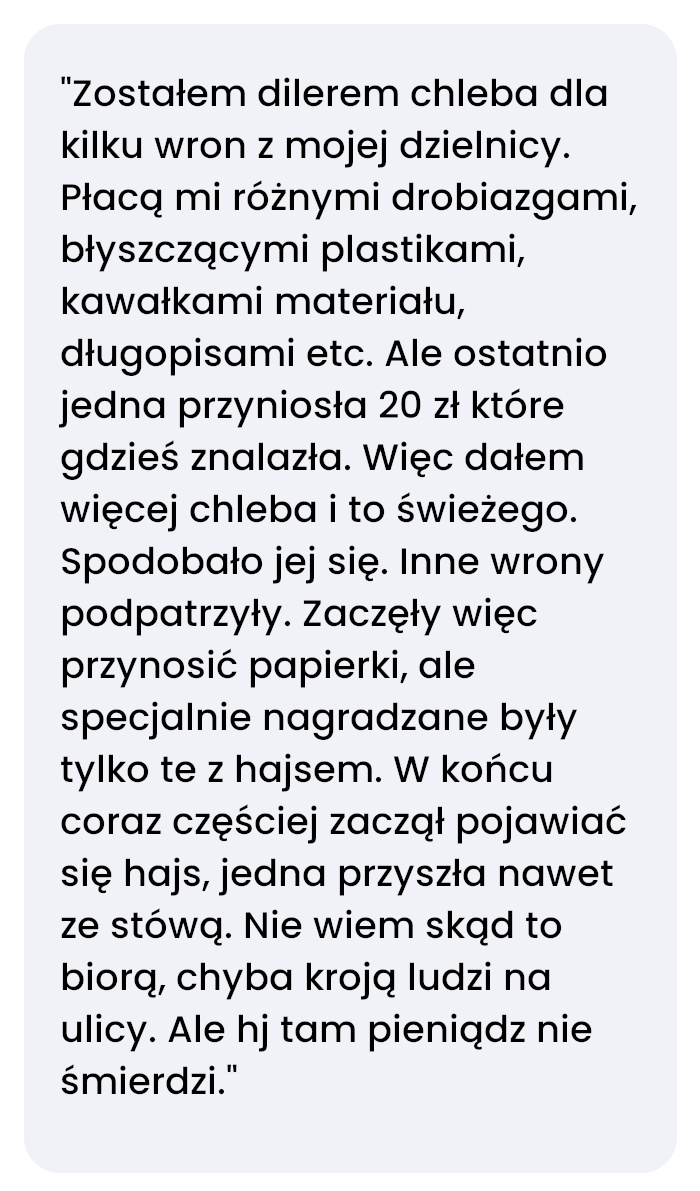 Mam szacun wśród wron