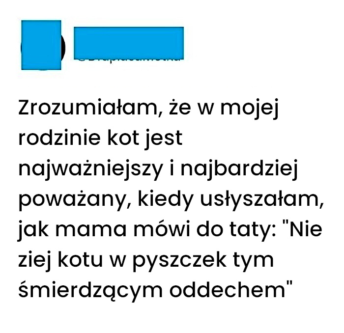 Zrozumiałam że kot w rodzinie ma największy szacunek