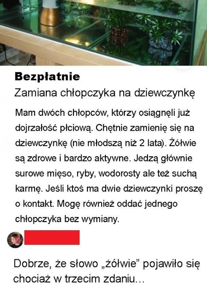 Jedno z dziwniejszych ogłoszeń