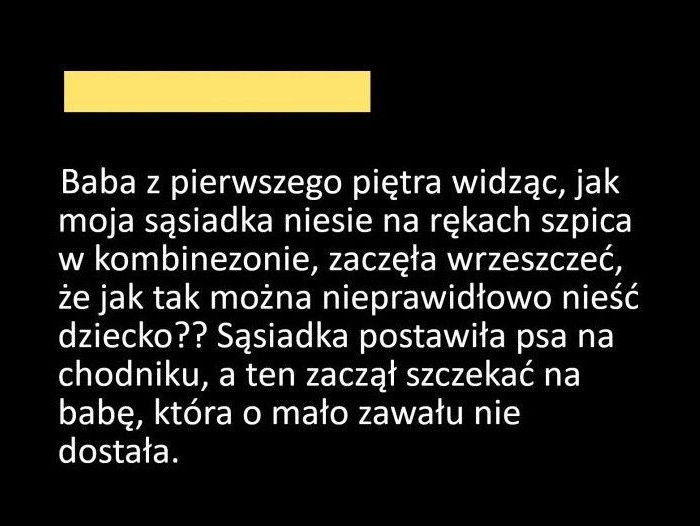 Kobieta się pomyliła co do psa
