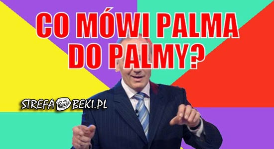 Co mówi palma do palmy?