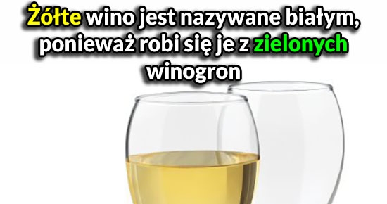 Logika białego wina