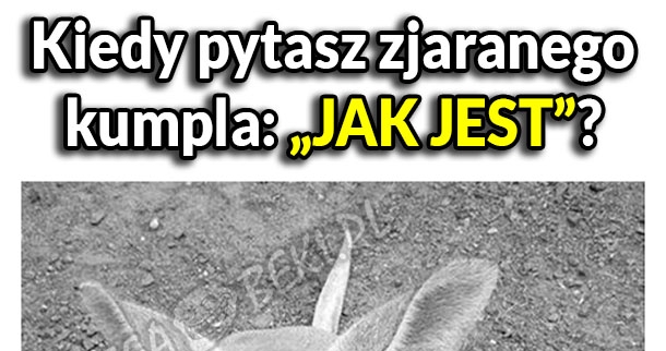 JAK JEST?