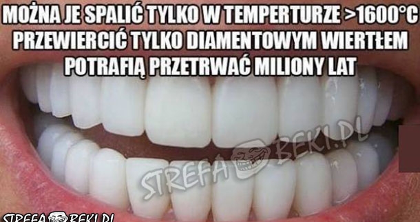 Zęby