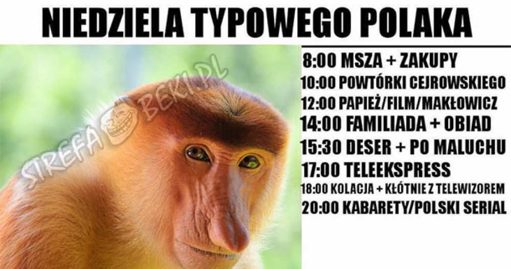 Niedziela typowego Polaka