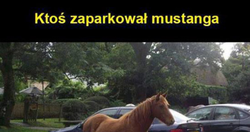 Ktoś zaparkował Mustanga :D
