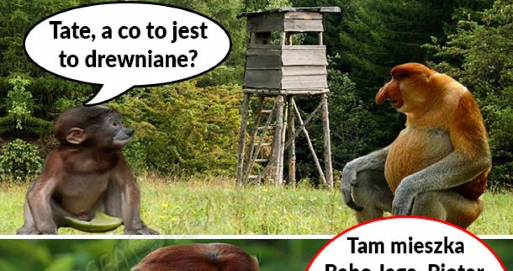 Co to jest? :D