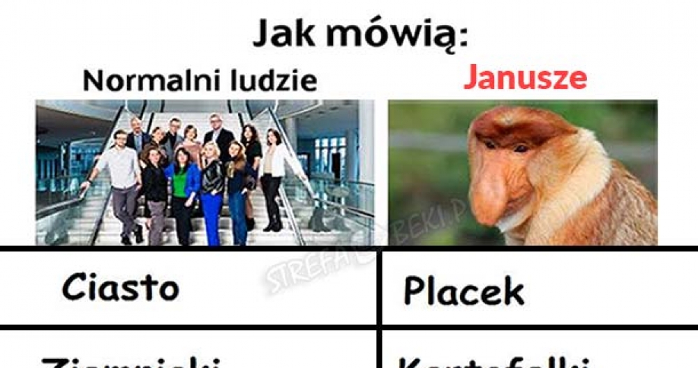 Słownik Januszowy 