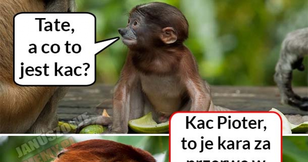 Co to jest kac? :D