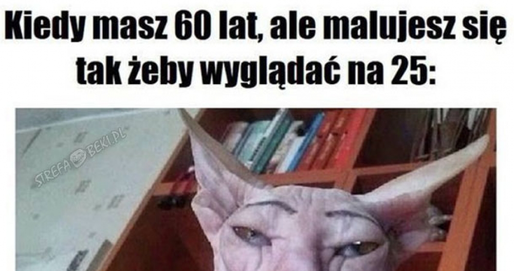 Tak to wygląda