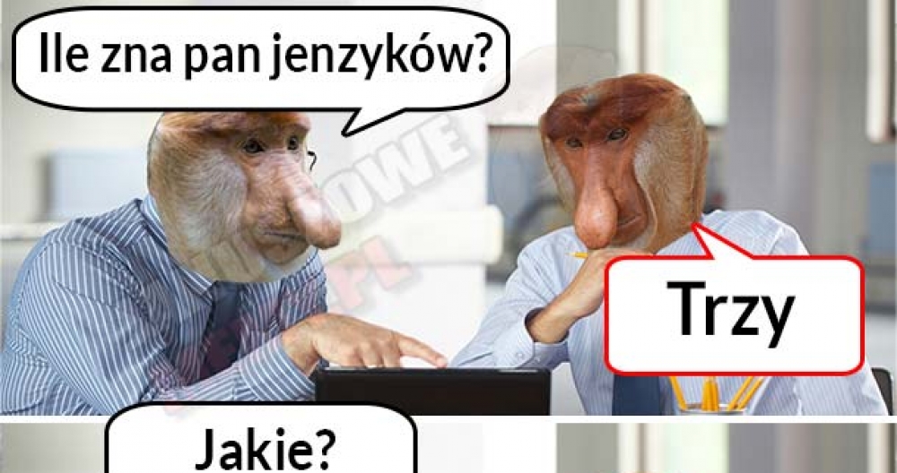 Janusz poliglota :D