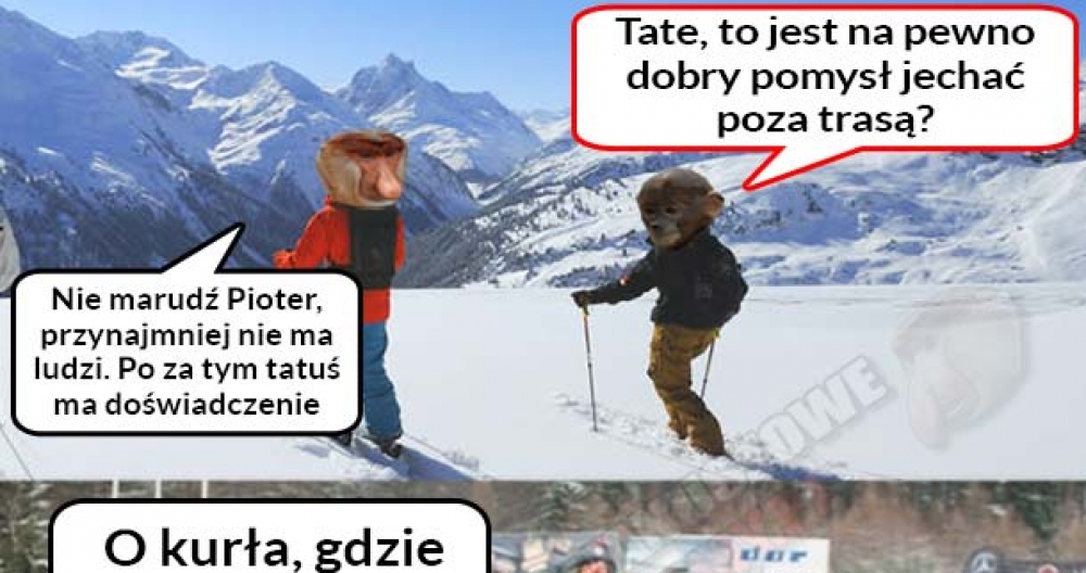 Janusz na nartach 