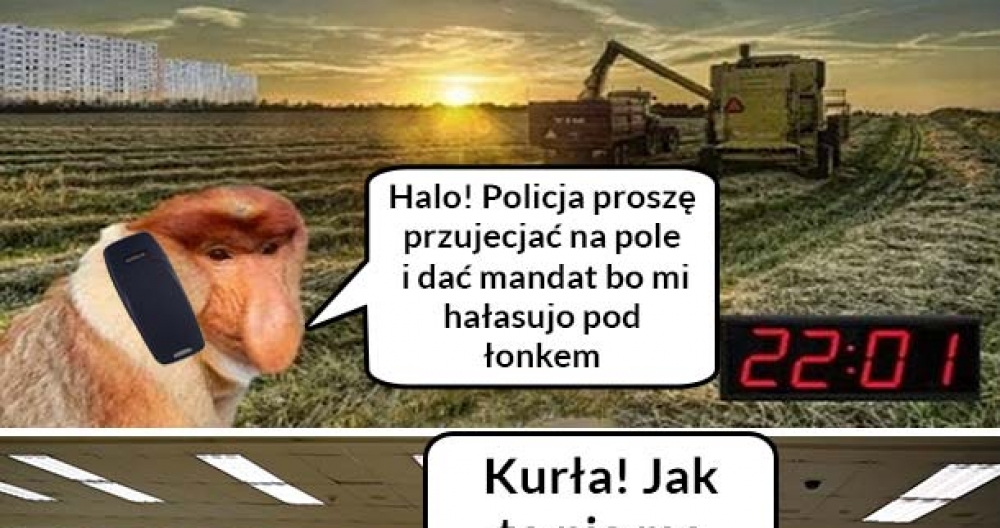 Życie polskiego nosacza 