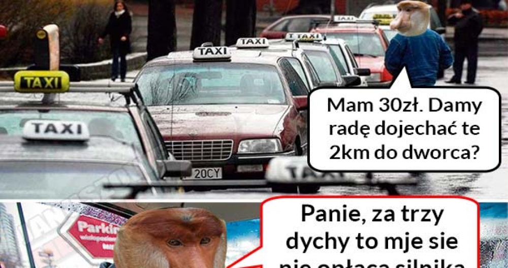 Typowy Janusz taksówkarz 