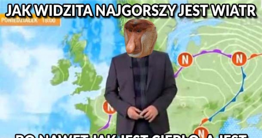 Pogodynek Janusz