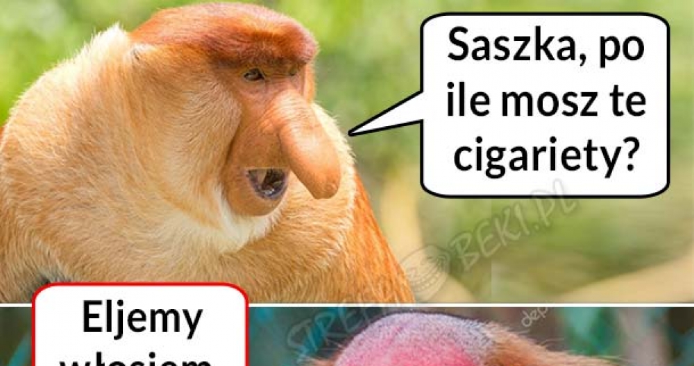 Kiedy Saszka przywozi papierosy z Ukrainy :D