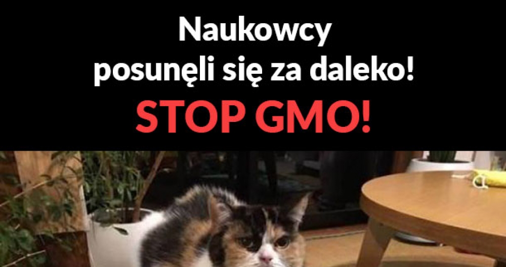 Stop GMO!