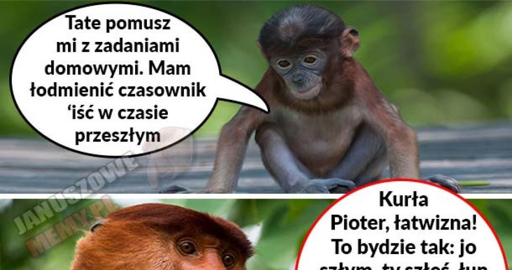 Kiedy Janusz pomaga Pioterowi w lekcjach z polskiego :D