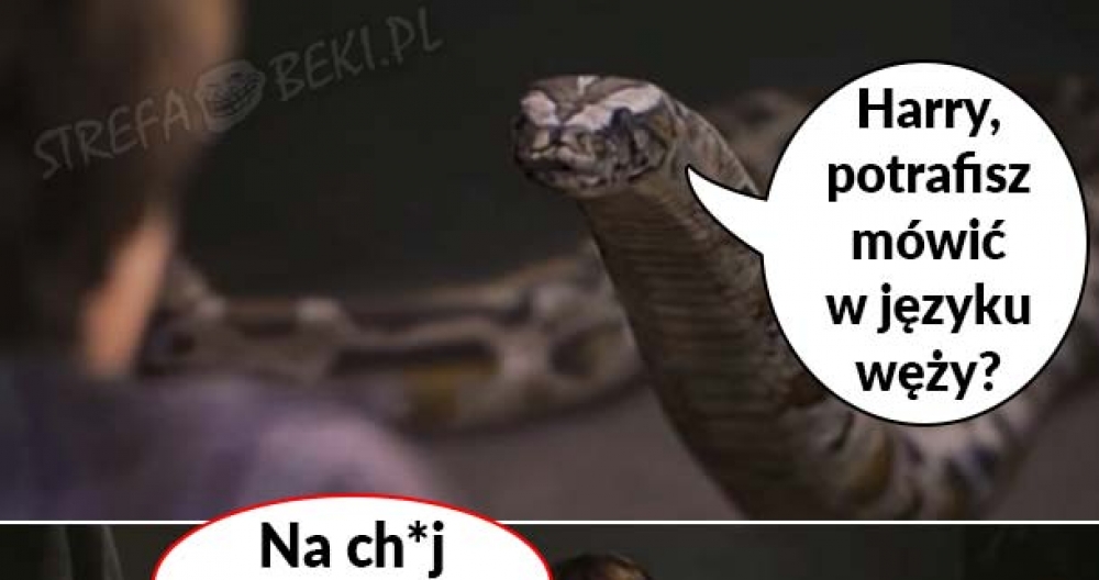 Warto poznać język węży :D