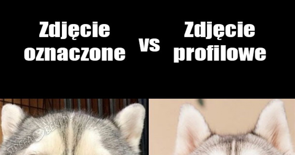 Oznaczone vs profilowe