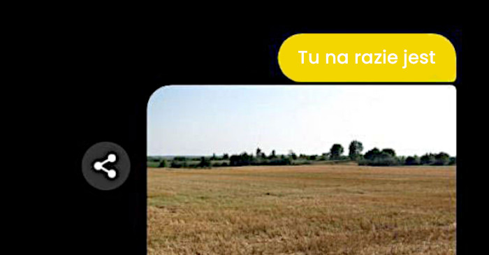 Rebus który zrozumie tylko Polak