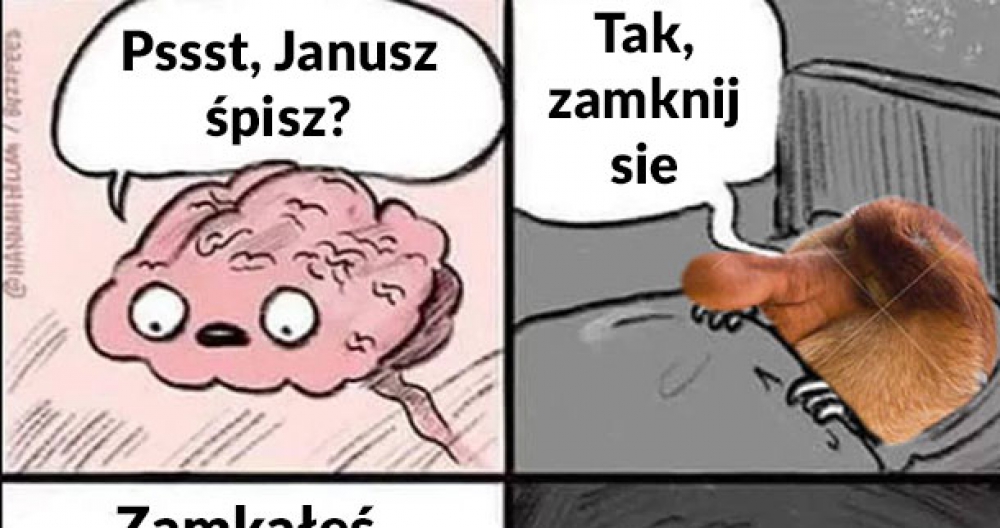 Mózg Janusza przed snem