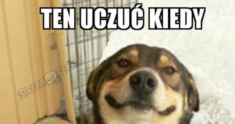 To uczucie 