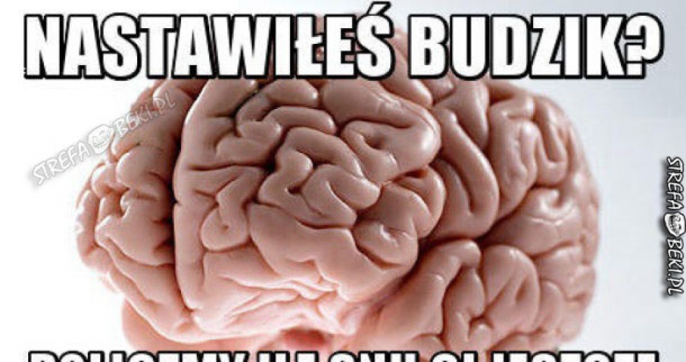 Mój mózg 