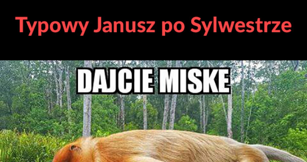 Typowy Janusz po Sylwestrze