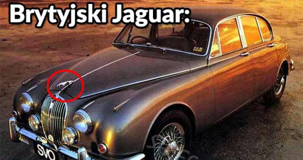 Rosyjski jaguar 