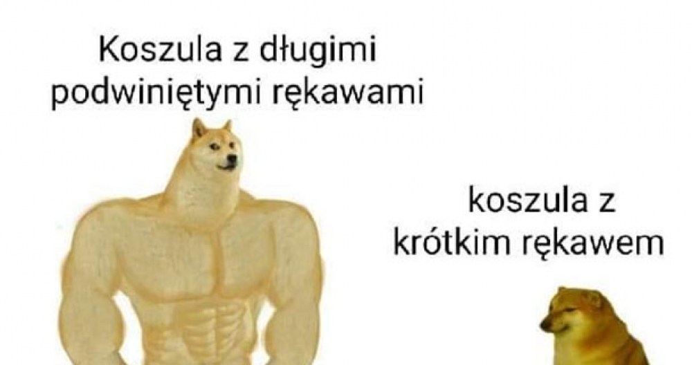 Koszule 